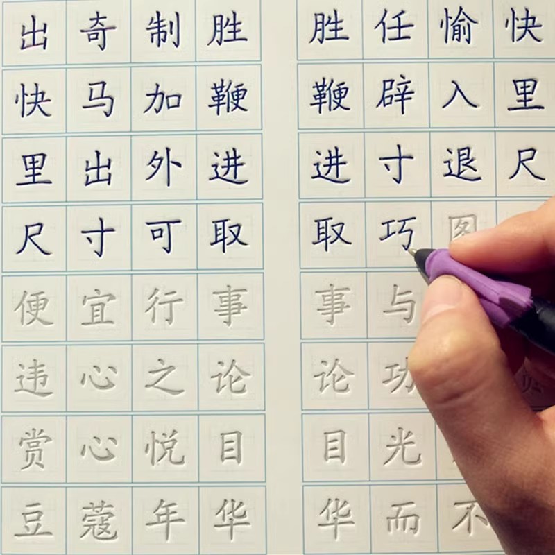 Grooved Chinese Handwriting Pr - Chinese Calligraphy Practice Book 评论和价格
